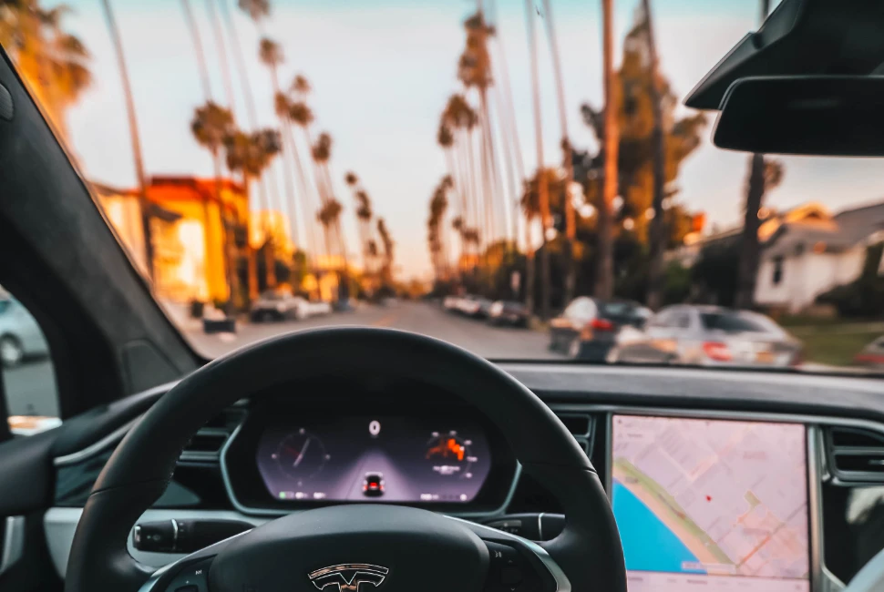 Beyond the City Limits: Epic Road Trips to Take from San Francisco