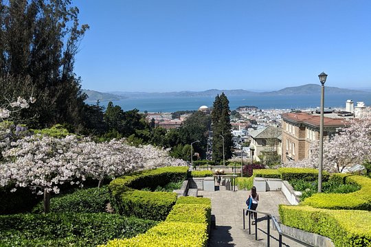 Tour image 10
