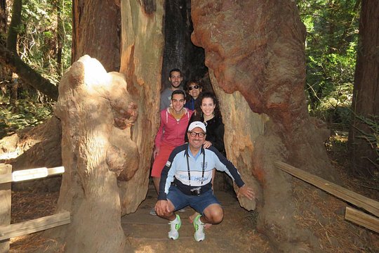 Tour image 4