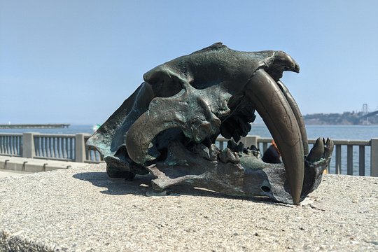 Tour image 8