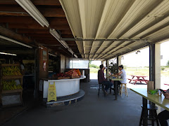 Seafood near Surf Motel